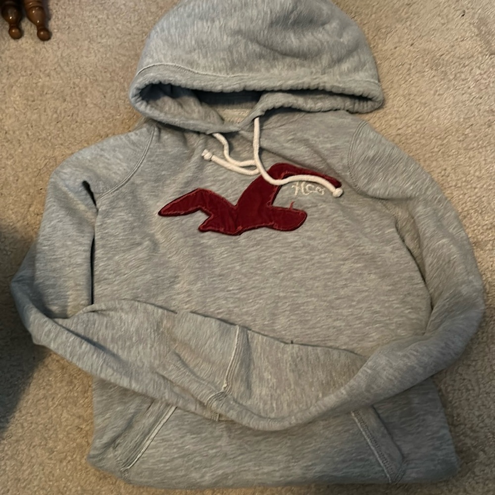 Hollister hoodie sweatshirt